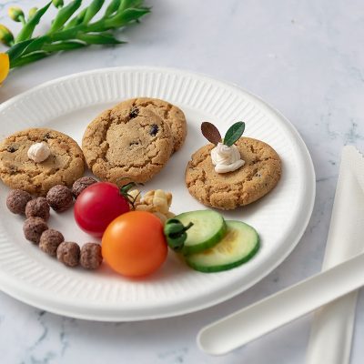 Bestseller bagasse material paper plate (4)