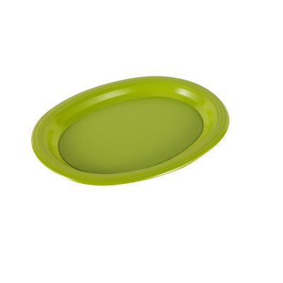High quality plastic custom plate (1)