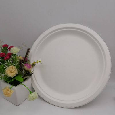 Pure natural white paper charger plate (5)