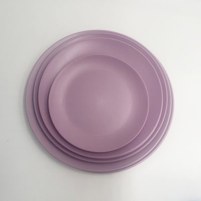 Safe household plastic cutlery plate (1)