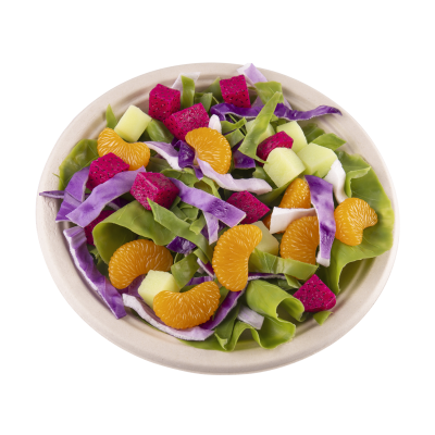 Waterproof white paper charger plate (2)