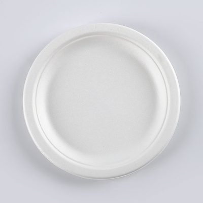 Wholesale eco-friendly paper plates (2)